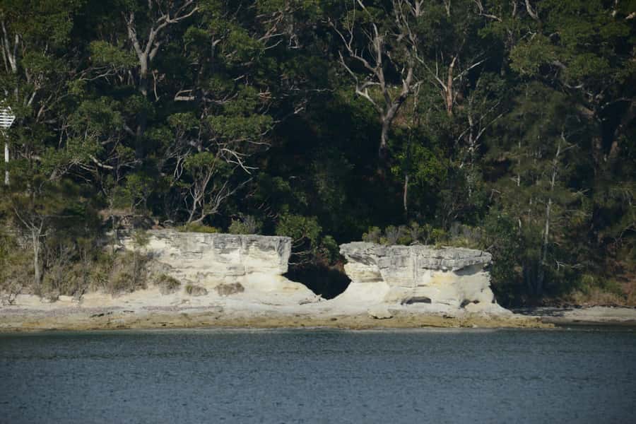 Jervis Bay: 2-Hour Cruise of Jervis Bay Passage - Who this cruise suits best, and who should skip it