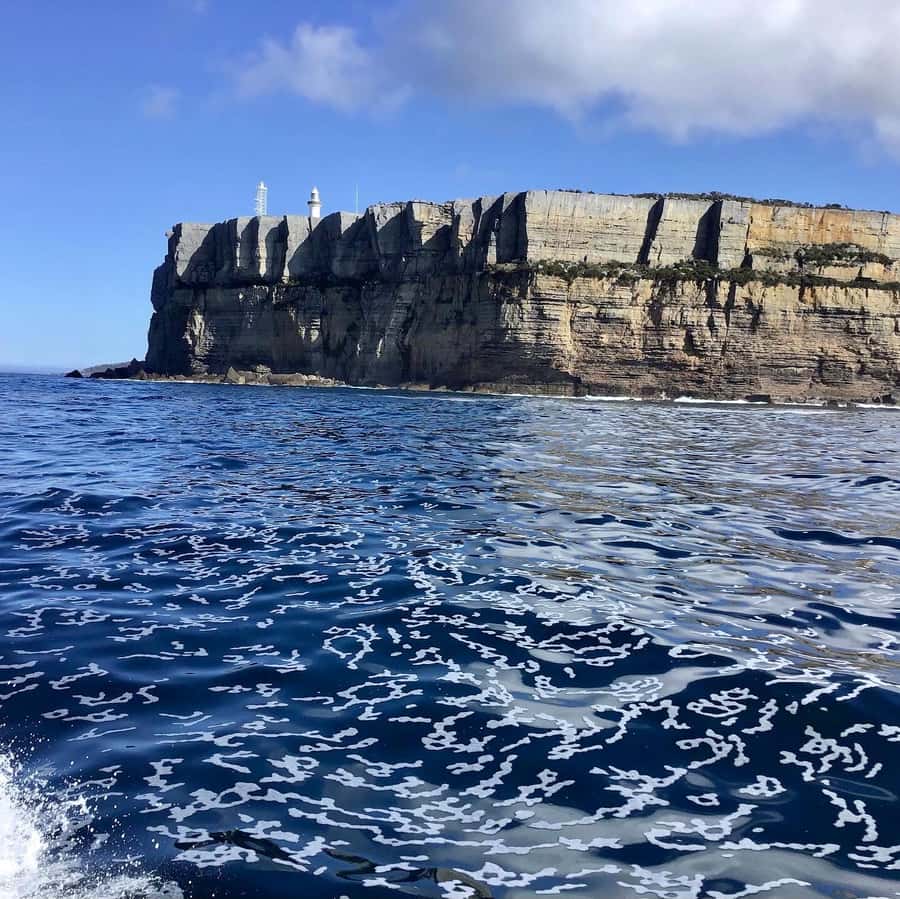 Jervis Bay: 2-Hour Cruise of Jervis Bay Passage - Should you book this Jervis Bay Passage cruise?