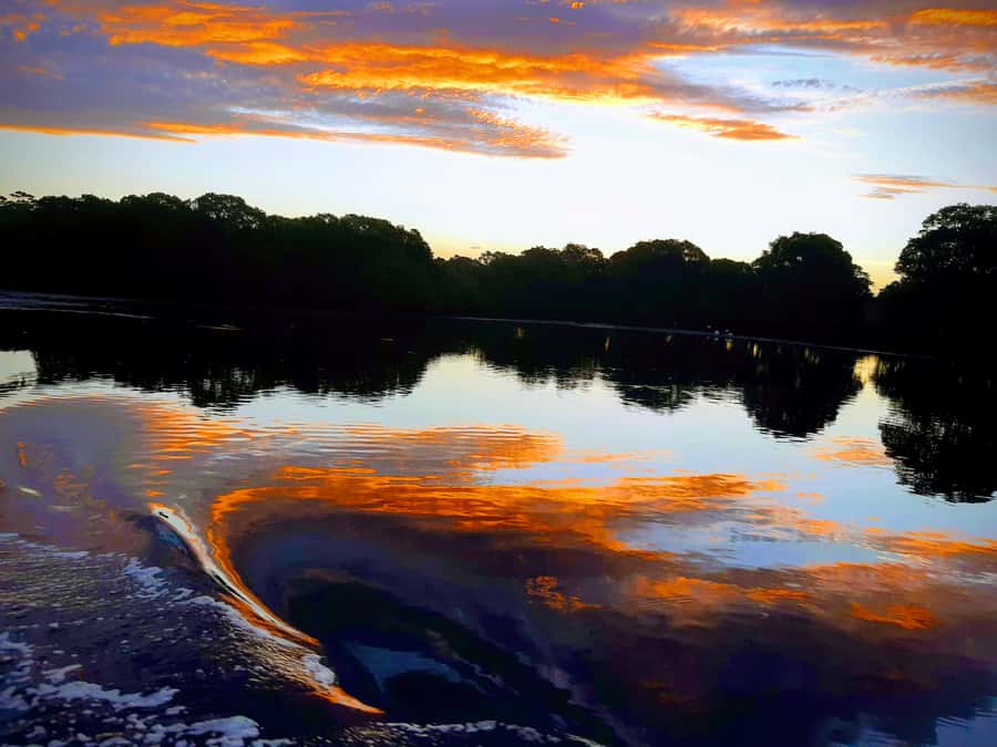 Jervis Bay: 2-Hour Sunset River Cruise - What wildlife you can spot, and how the guide helps