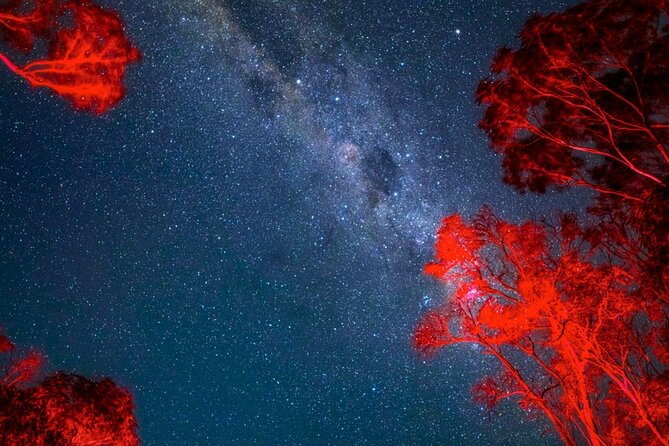 Jervis Bay Beach Stargazing Tour with our Astronomer - Milky Way hunting and the bioluminescence chance