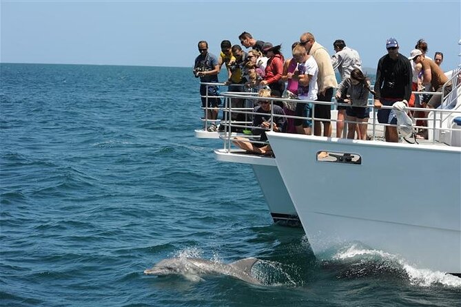 Jervis Bay Dolphin Cruise - Price and value: $37.30 for 1.5 hours on the water