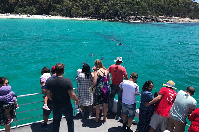 Jervis Bay Dolphin Cruise - Life onboard: views, comfort, and that staff energy