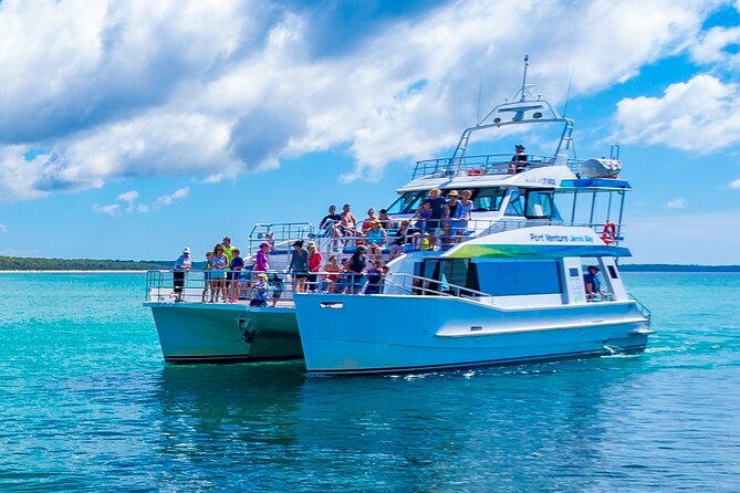 Jervis Bay Dolphin Cruise - Ethical dolphin viewing: what it means in real terms