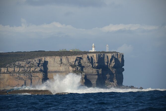 Jervis Bay Passage Tour - Why this cruise works when Jervis Bay feels far