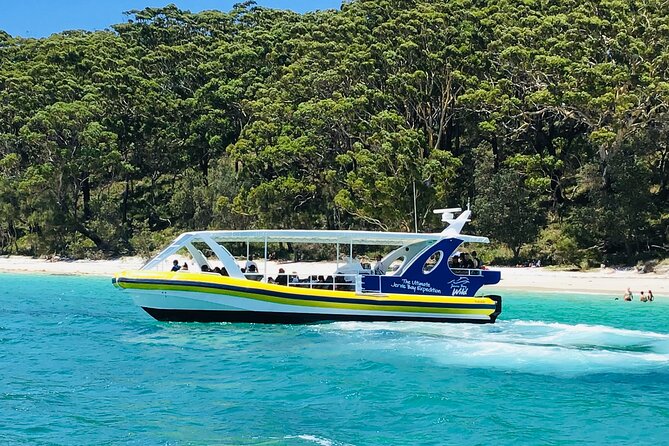 Jervis Bay Passage Tour - Whale-season odds: what changes between May and November