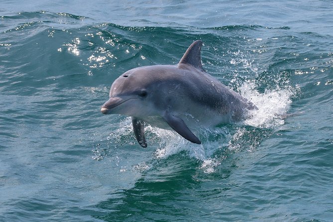 Jervis Bay Passage Tour - What you will likely see along the way (and why it matters)