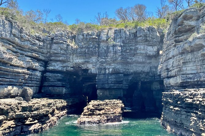 Jervis Bay Passage Tour - Timing choices: late morning versus early afternoon