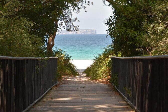 Jervis Bay Tour with Dolphins, Kangaroos & World's Whitest Beach - Getting from Sydney: the early start that shapes the whole day