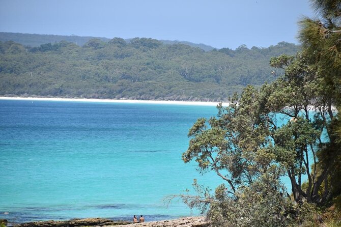Jervis Bay Tour with Dolphins, Kangaroos & World's Whitest Beach - Huskisson free time: where you can slow down and actually eat