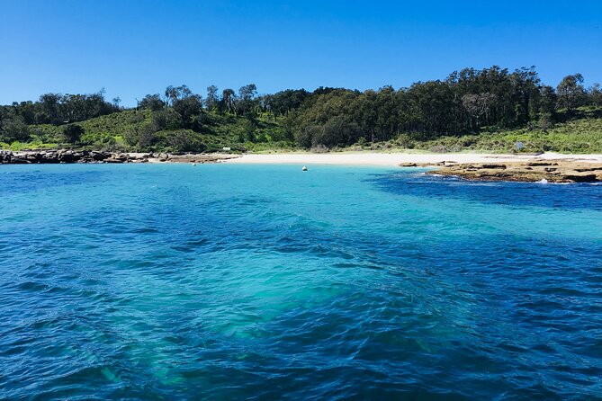 Jervis Bay Whale Watching Tour - Choppy water happens: what to pack, and how the crew handles rough conditions