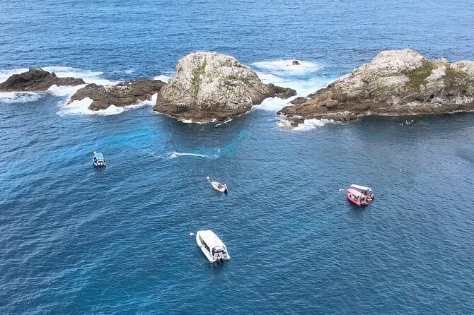 Julian Rocks: Premier Snorkeling Tour Byron Bay - Timing, Group Size, and Getting the Most From 2.5 Hours