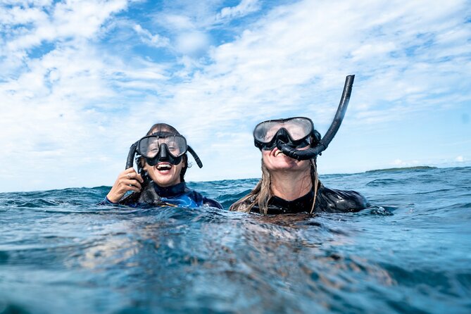 Julian Rocks: Premier Snorkeling Tour Byron Bay - Who This Tour Suits Best in Byron Bay