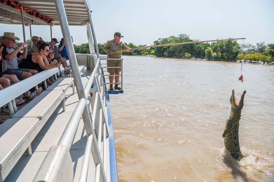 Jumping Crocodile Cruise from Darwin Half-Day Scenic Trip - Should you book the Jumping Crocodile Cruise from Darwin?
