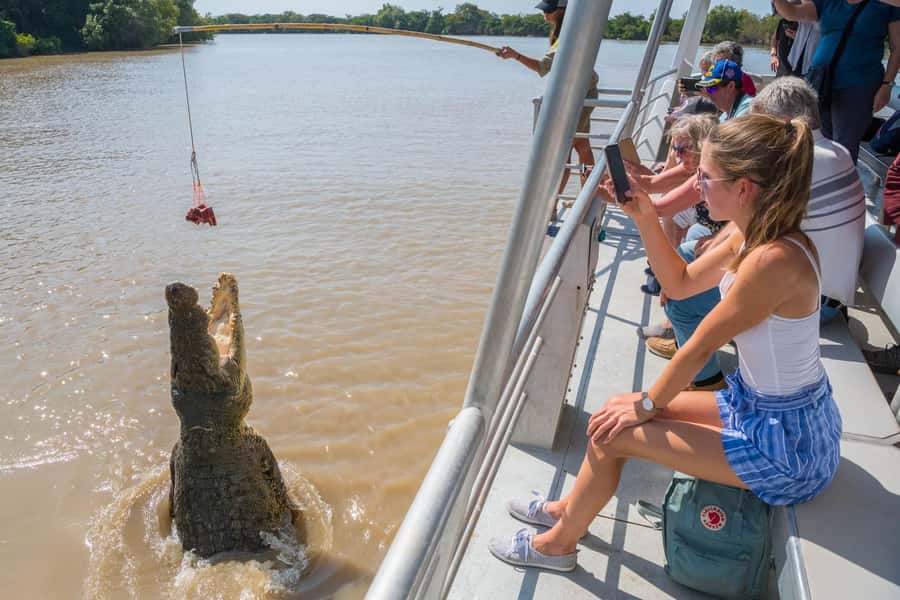 Jumping Crocodile Cruise from Darwin Half-Day Scenic Trip - The Adelaide River jumping cruise: the one-hour moment that sells the whole day