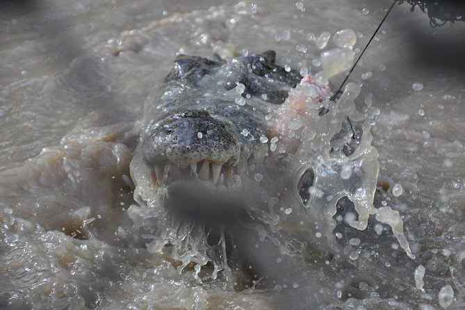 Jumping Crocodile Cruise with lunch - Humpty Doo Hotel lunch: included, filling, and easy