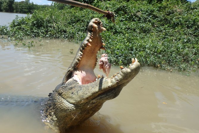 Jumping Crocodile Cruise with lunch - Morning in Darwin: pickup, bus comfort, then out to the river