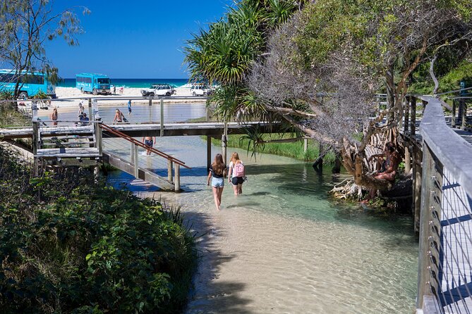 K'gari (Fraser Island) All Inclusive Day Tour - Ferry to Kgari and the Air-Conditioned 4WD Coach Ride