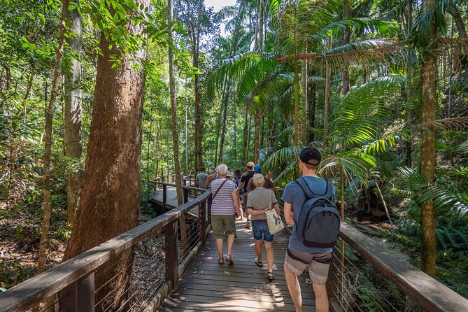 K'gari (Fraser Island) All Inclusive Day Tour - Wanggoolba Creek and Eli Creek: Freshwater Stops That Change the Mood
