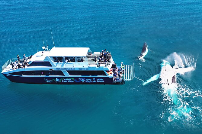 K'gari (Fraser Island) Small Group 4WD Adventure - From Noosa - Maheno shipwreck stop: quick and photo-focused
