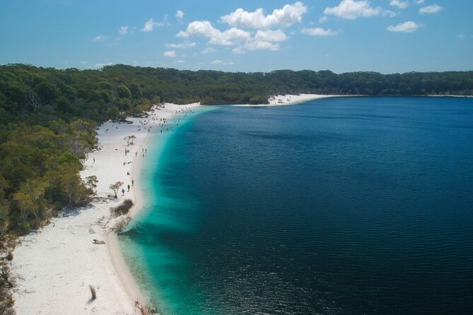 K'gari (Fraser Island) Small Group 4WD Adventure - From Noosa - Eli Creek float or wade: bring your float idea