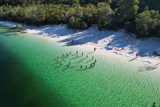 K'gari (Fraser Island) Small Group Day Tour - From Rainbow Beach - Eli Creek: floating and wading, plus the packing lesson