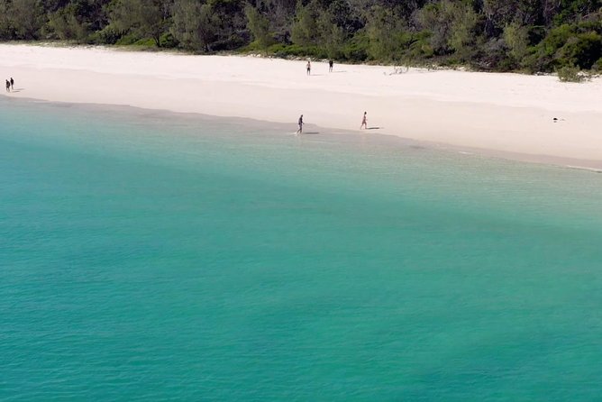 K'gari (Fraser Island) West Coast Half Day Cruise from Hervey Bay - Life on K’gari shore, sun shelters and real beach time