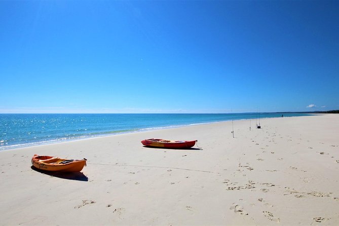 K'gari (Fraser Island) West Coast Half Day Cruise from Hervey Bay - Water activities that fit different comfort levels