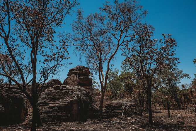 Kakadu Day Tour from Darwin with Offroad Dreaming - The East Alligator River cruise: Guluyambi in dry season, Yellow Water in wet