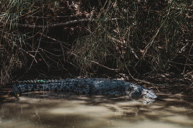Kakadu Day Tour from Darwin with Offroad Dreaming - What you get included, and where you will pay extra