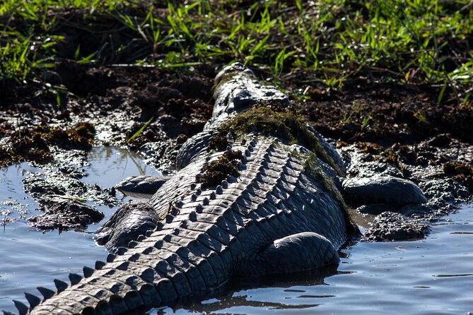 Kakadu National Park Wildlife & Ubirr Rock Art Tour from Darwin - Key things to know before you go