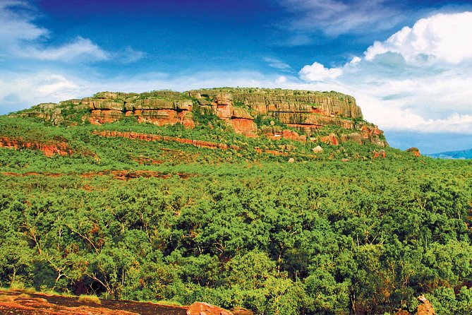 Kakadu, Nourlangie and Yellow Waters Tour from Darwin - Kakadu from Darwin, in one tightly scheduled day