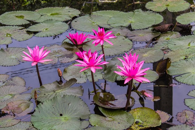 Kakadu, Nourlangie and Yellow Waters Tour from Darwin - Price and what to budget beyond the headline cost