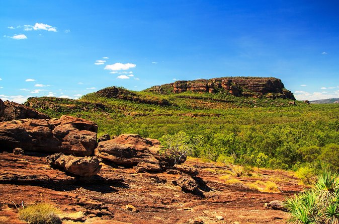 Kakadu, Nourlangie and Yellow Waters Tour from Darwin - Guide quality and group size: what you can expect