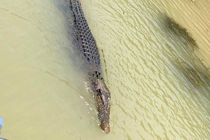 Kakadu Yellow Waters Cruise & Katherine Gorge Helicopter Scenic - Why you start with a sunrise flight from Darwin