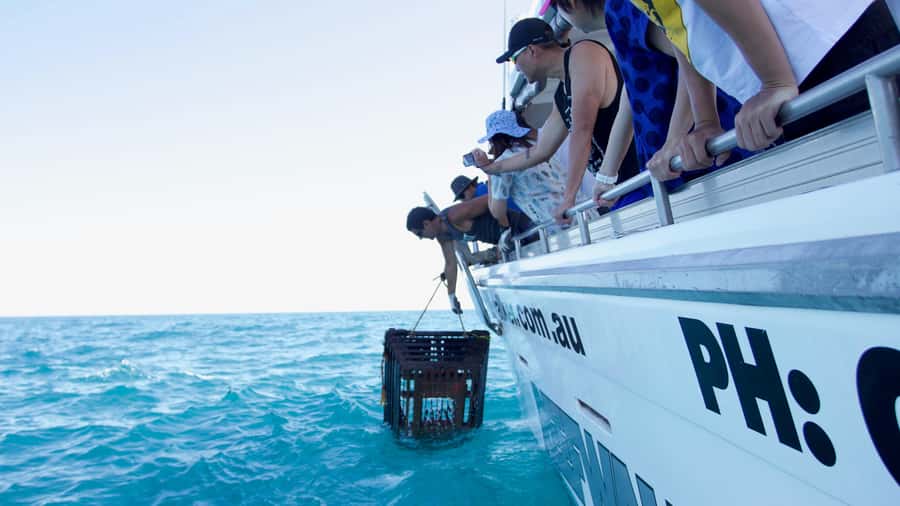 Kalbarri Crayfish Catch & Keep Tour - Best For Families, Foodies, and People Who Like Real Work