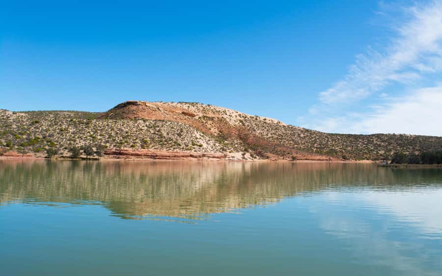 Kalbarri: Murchison River Wilderness Wildlife Cruise - Key things that make this cruise work