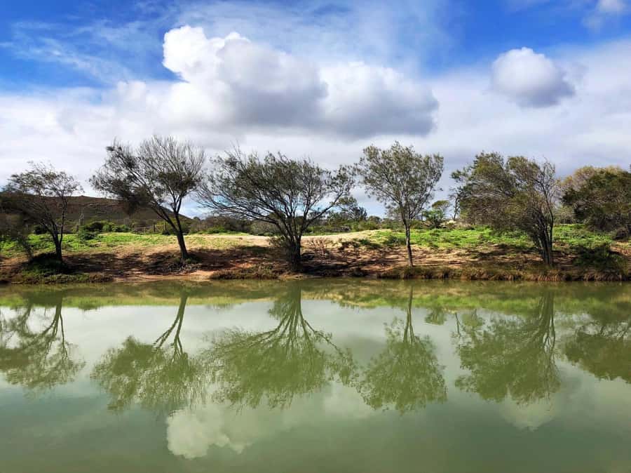 Kalbarri: Murchison River Wilderness Wildlife Cruise - The river mouth finale, where the Murchison meets the Indian Ocean