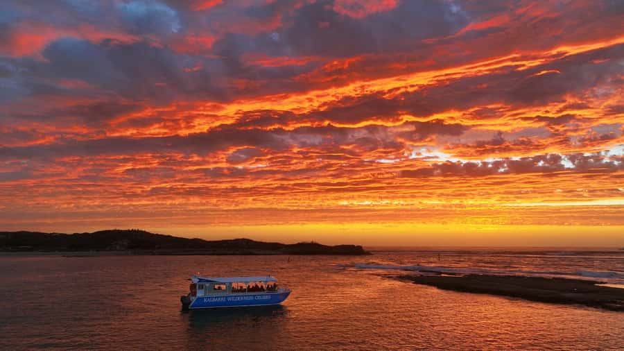 Kalbarri: Murchison River Wilderness Wildlife Cruise - Price and value for a 2.5 hour wildlife cruise
