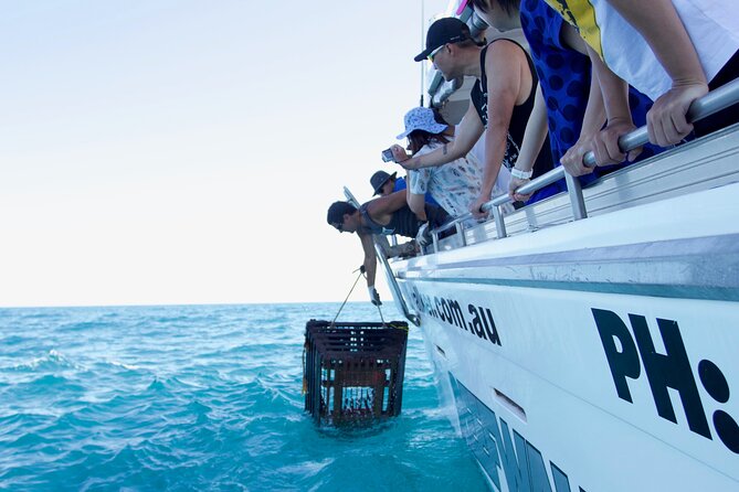 Kalbarri Rock lobster Pot Pull Tour in Kalbarri - Key highlights worth getting excited about