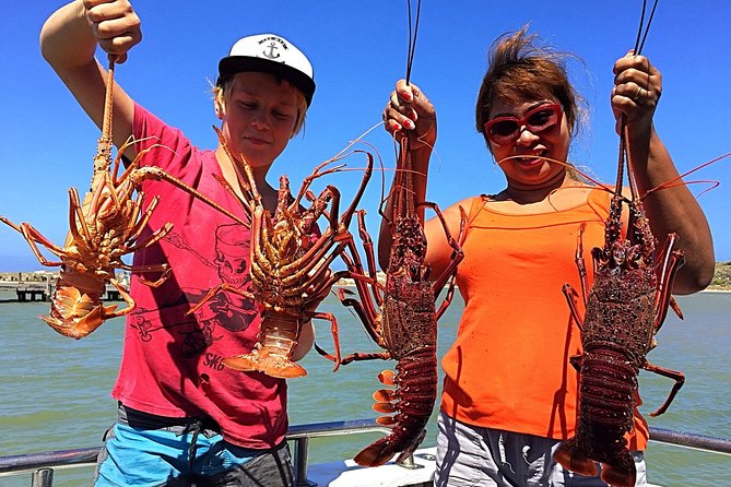 Kalbarri Rock lobster Pot Pull Tour in Kalbarri - What you’ll do with the catch: releasing, grading, and taking some home