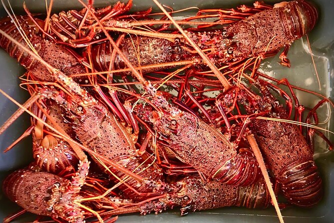 Kalbarri Rock Lobster Tours - Getting Aboard the Nebraska II at Kalbarri Maritime Facility