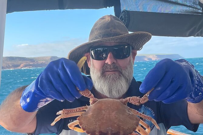 Kalbarri Rock Lobster Tours - Lobster Cooked Three Ways, Plus What You Take Home
