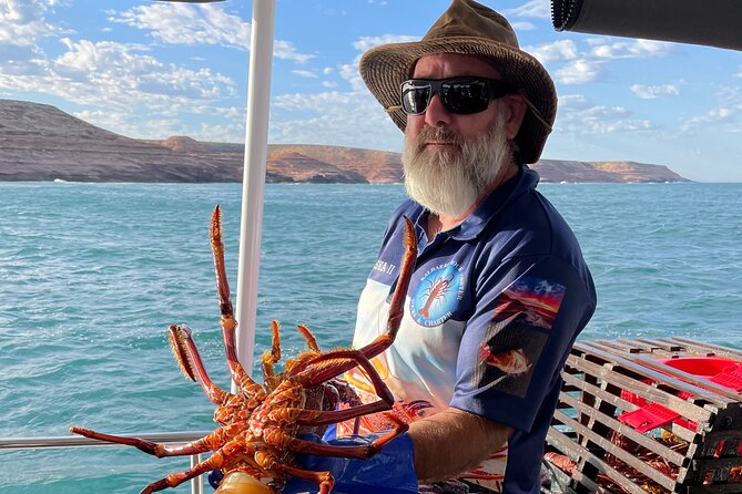 Kalbarri Rock Lobster Tours - Price and Value: What $86.07 Really Buys You