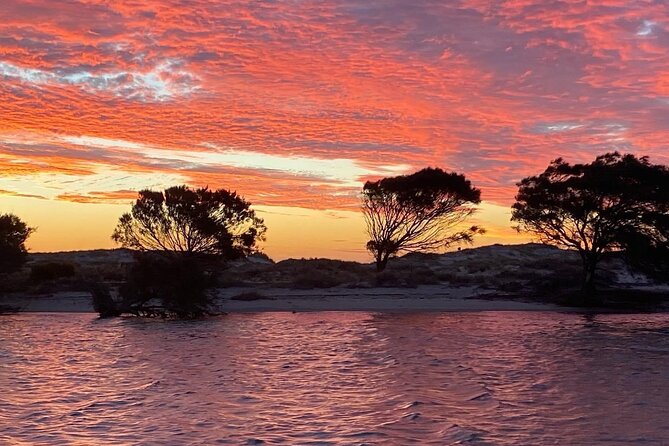 Kalbarri Sunset Coastal Cliff Cruise - Whales and dolphins: a bonus when the ocean cooperates