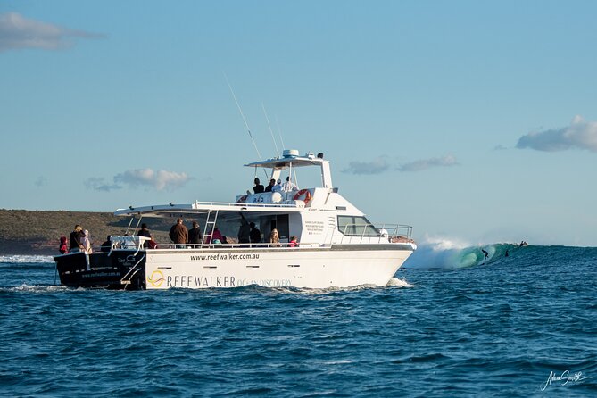 Kalbarri Sunset Cruise along the Coastal Cliffs - Price and value, when $35.86 buys real time on the water