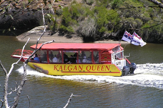 Kalgan Queen Scenic Cruises a four hour sheltered water wildlife tour daily fun. - Key things I’d pin on the fridge