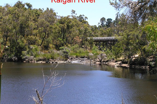 Kalgan Queen Scenic Cruises a four hour sheltered water wildlife tour daily fun. - Wildlife moments: hawks, eagles, pelicans, ospreys, and kangaroos
