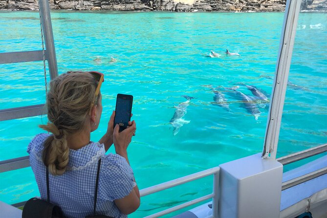 Kangaroo Island 75-Minute Coastal Safari - Why this 75-minute coastal safari is a smart Kangaroo Island move