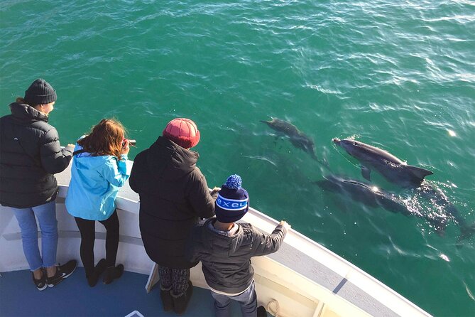 Kangaroo Island 75-Minute Coastal Safari - Eagles and winter whales: what you can hope for by season