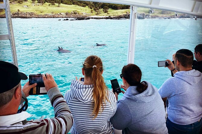 Kangaroo Island 75-Minute Coastal Safari - Who should book, and who should plan a backup